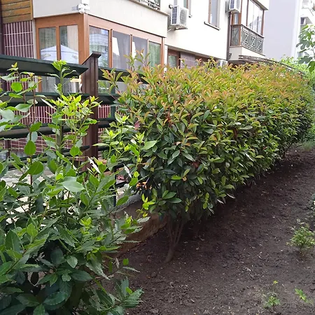 в непосредствена близост до плажа Апартамент Бургас