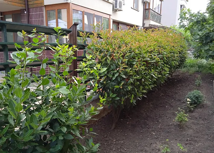 в непосредствена близост до плажа Daire Burgaz