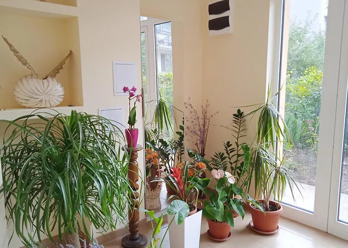 Daire в непосредствена близост до плажа Burgaz