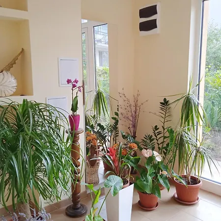 公寓 в непосредствена близост до плажа 布尔加斯